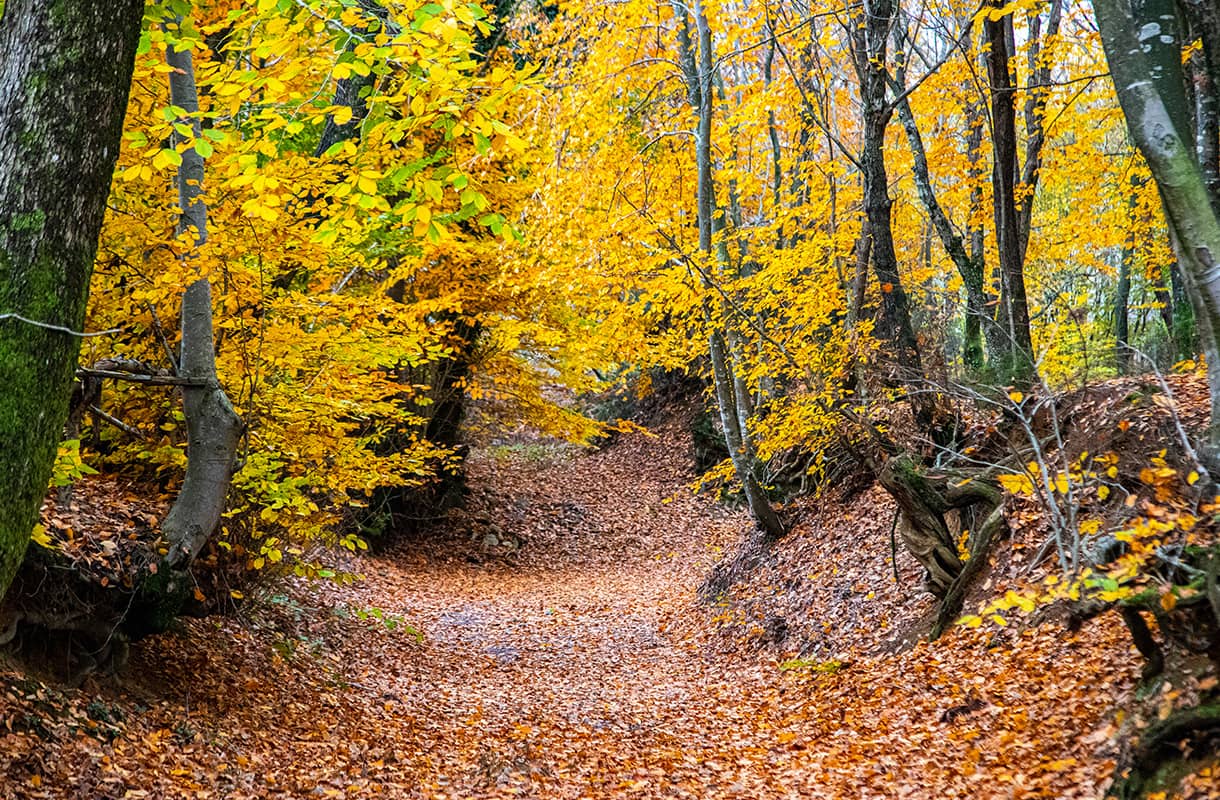 2-Day Autumn Photography Route in İstanbul box